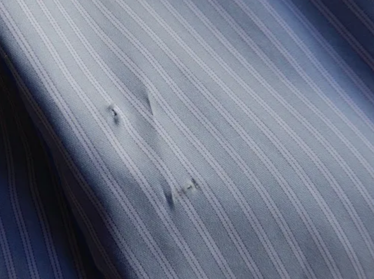 Cotton stand-collar blouse Blue Stripe B