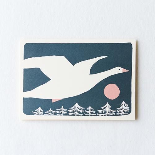 Snow Goose greeting card