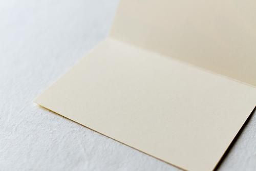 Snow Goose greeting card