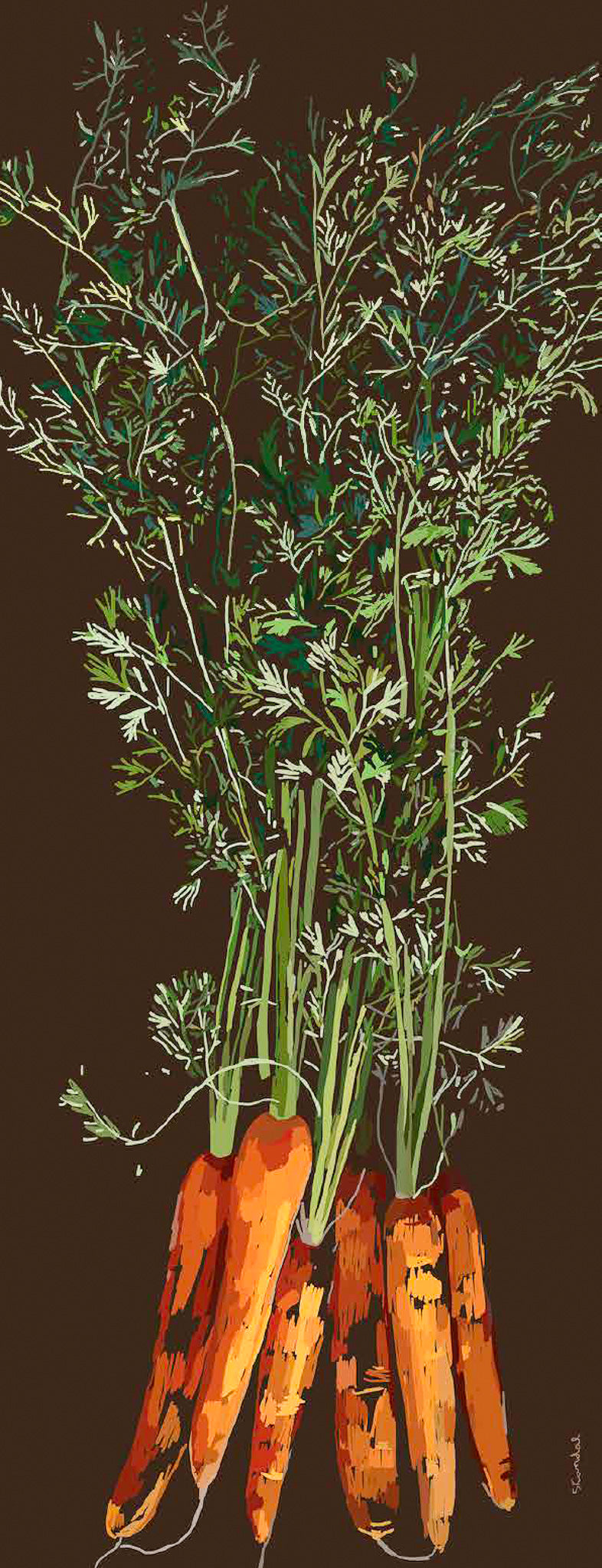 ウールヴェジタブルストール Carrots