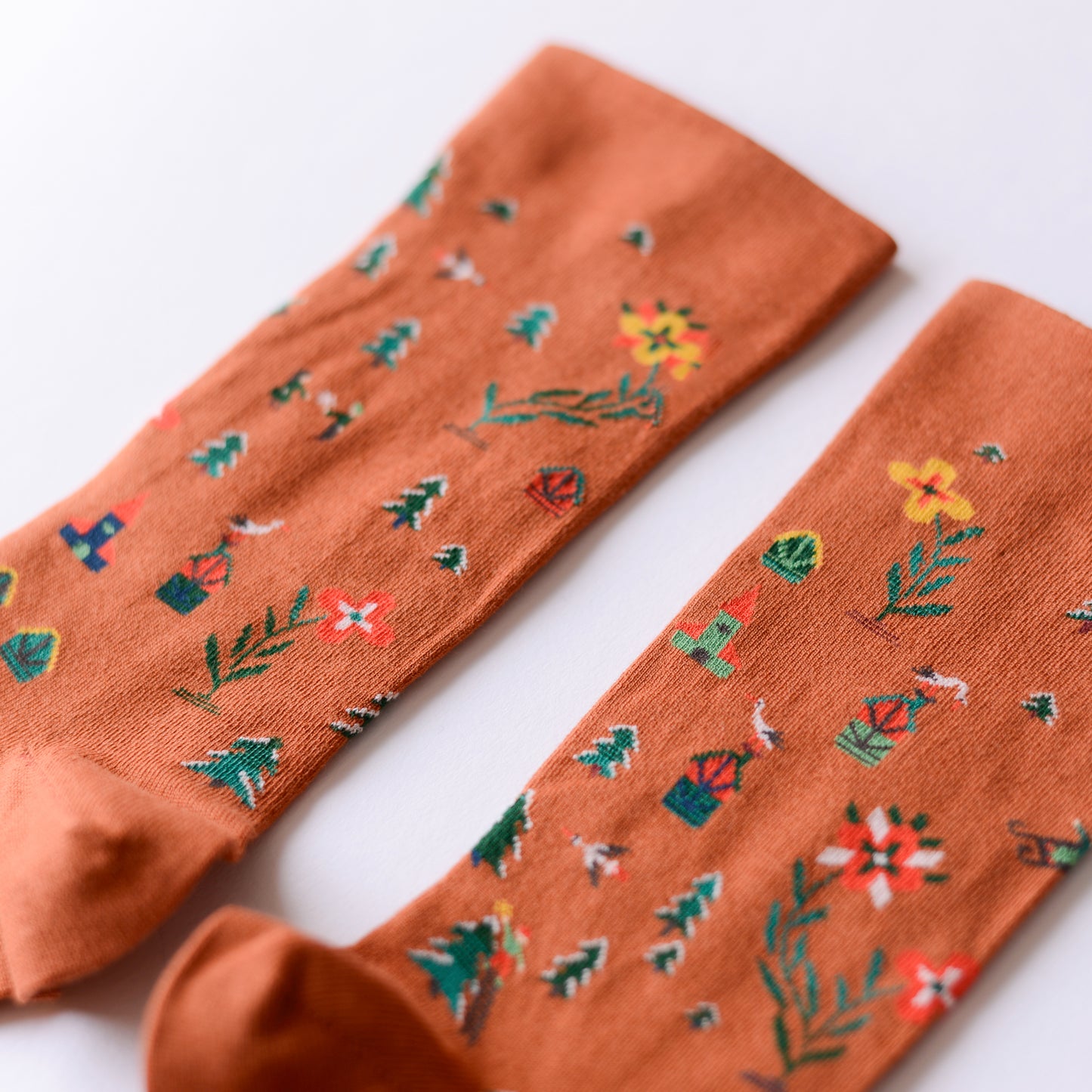 Cinnamon Seedling Socks