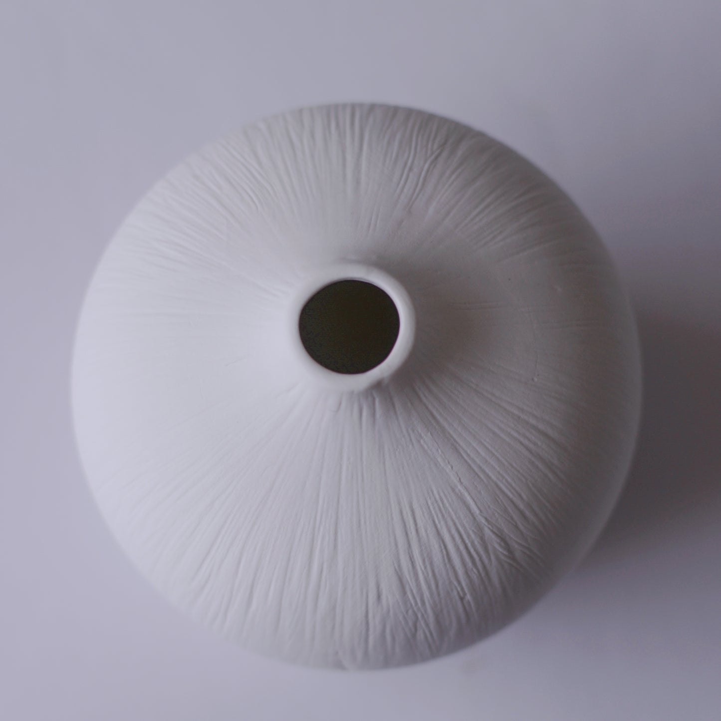 Flower Vase Plumper S
