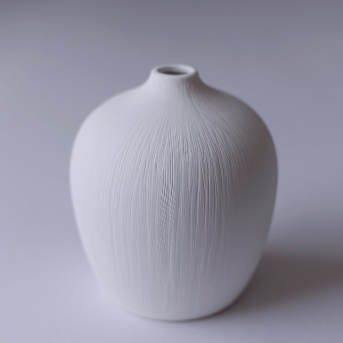 Flower Vase Plumper S