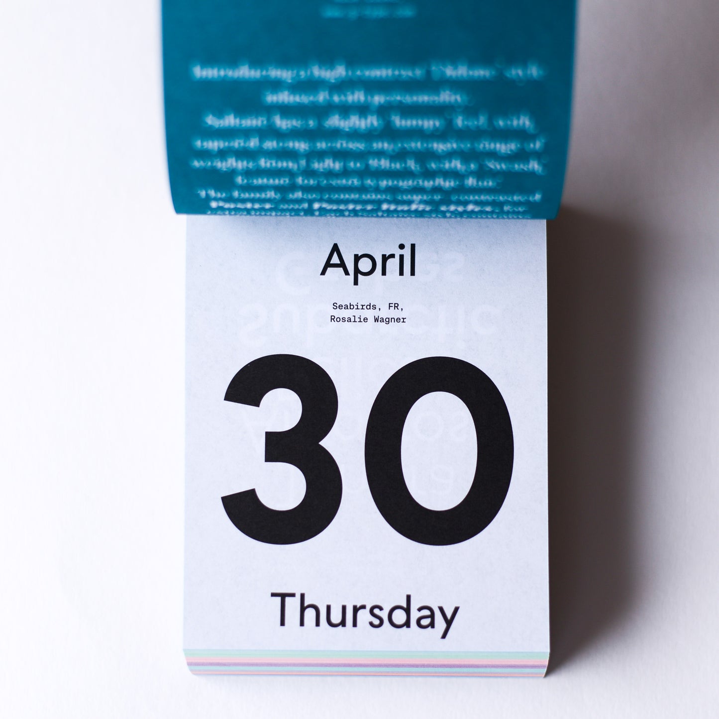 TYPODARIUM 2026 Calendar