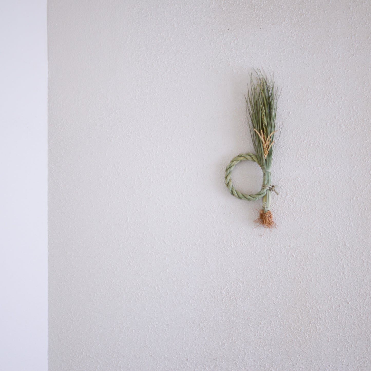 Straw rice ear decoration with roots, L size