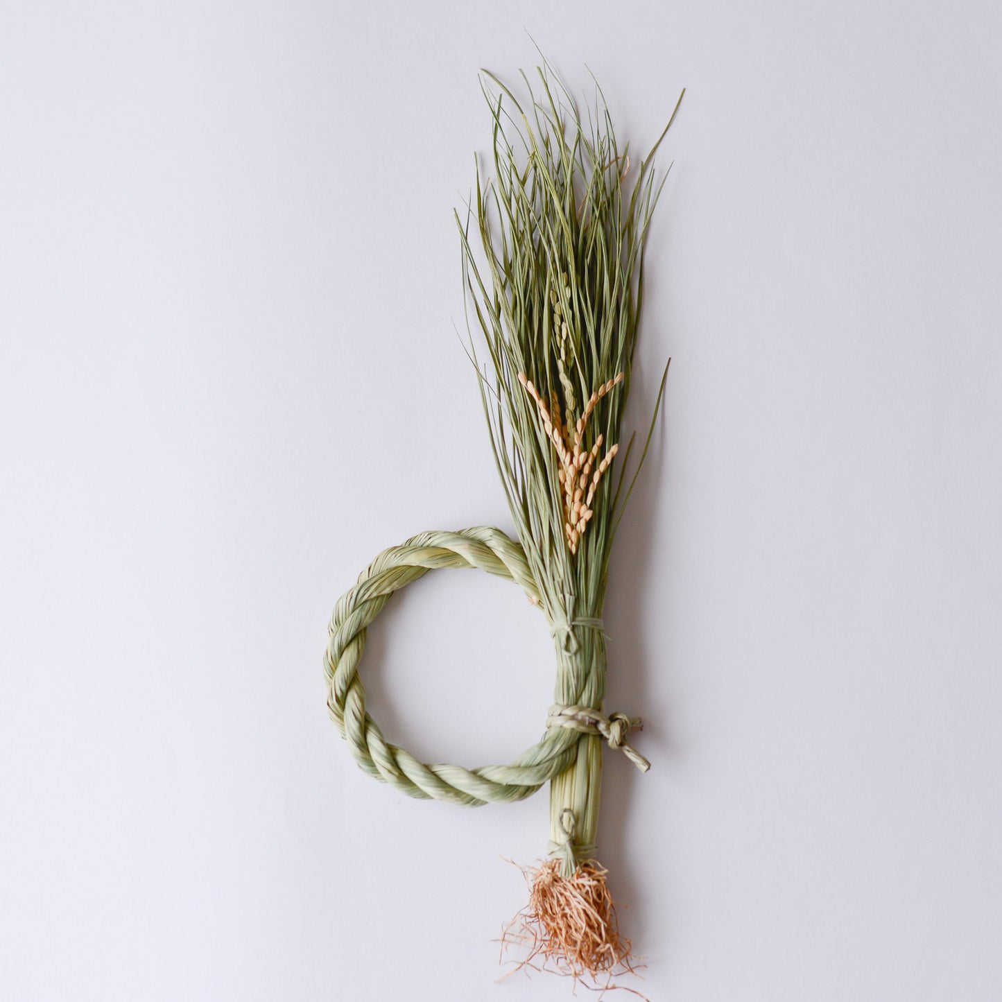 Straw rice ear decoration with roots, L size