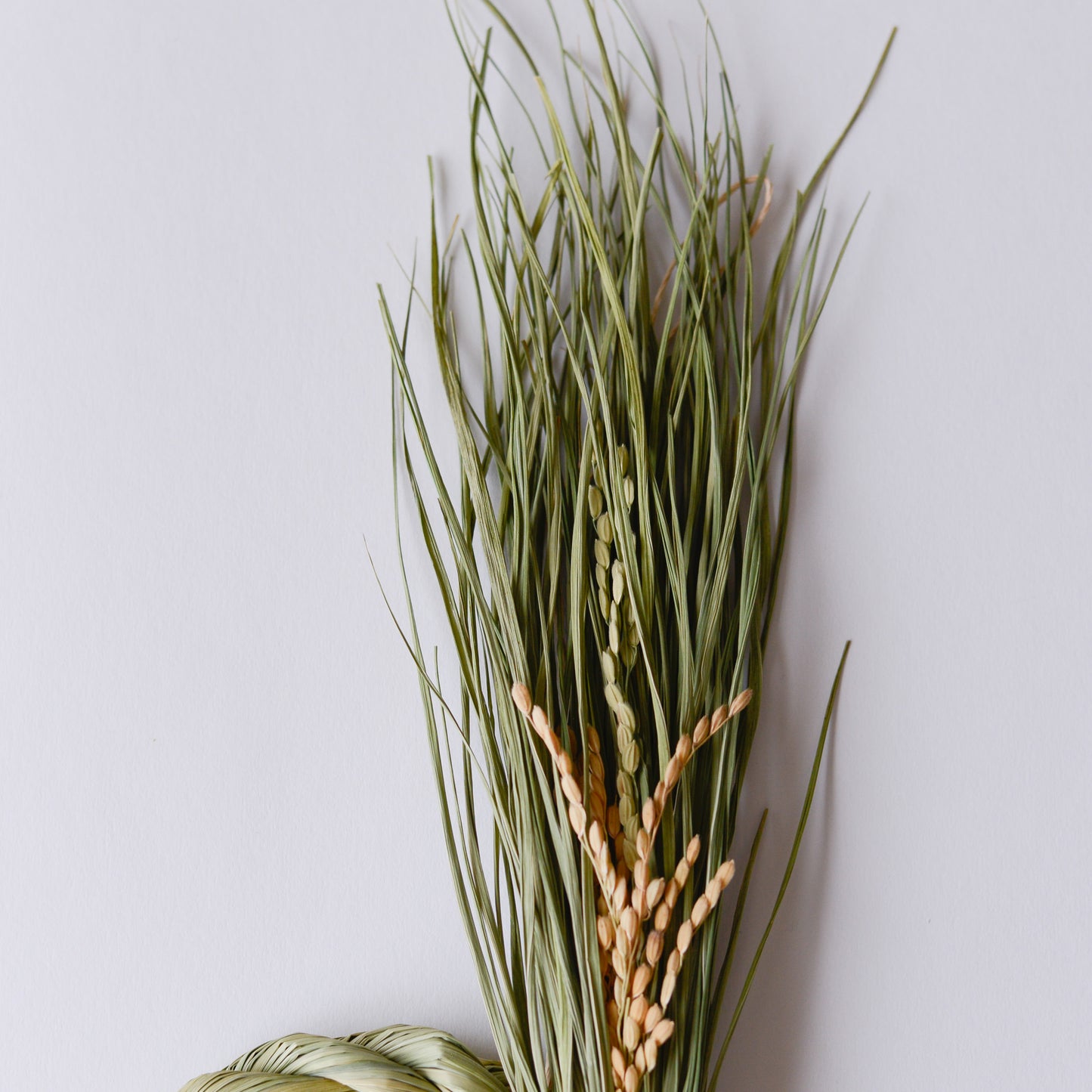 Straw rice ear decoration with roots, L size