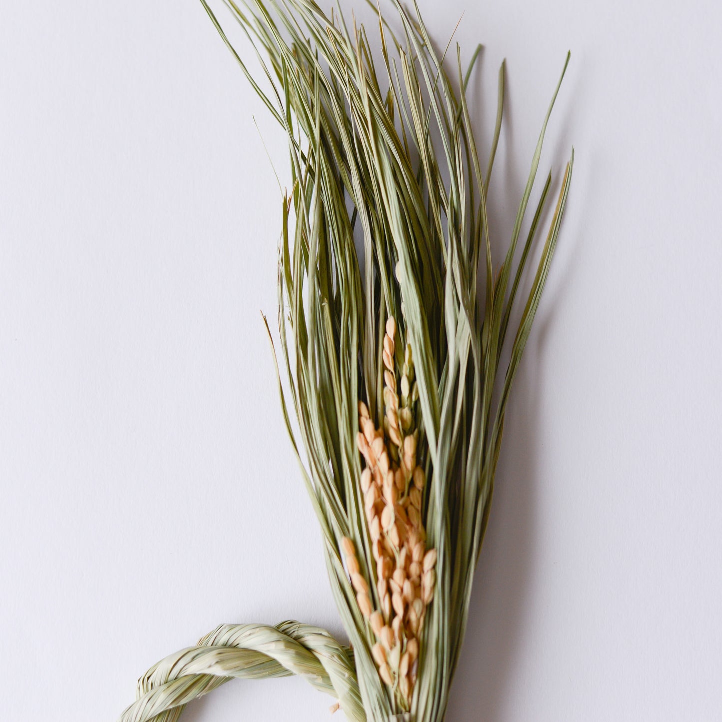 Straw rice ear decoration with roots, small